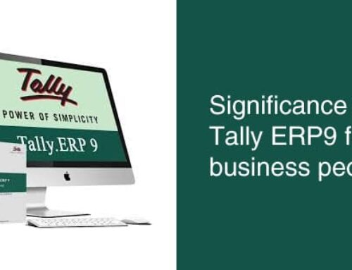 Tally.ERP 9 – Security Access Control