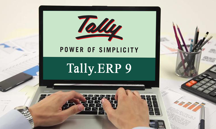  Tally Customization: Everything You Need to Know