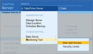 Security and Access Control in Tally Prime